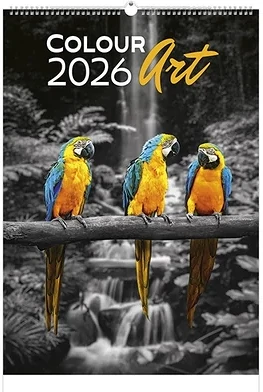 Toptimer 23.0130516 nagyítás