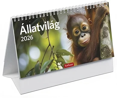 Toptimer 23.02210 nagyítás