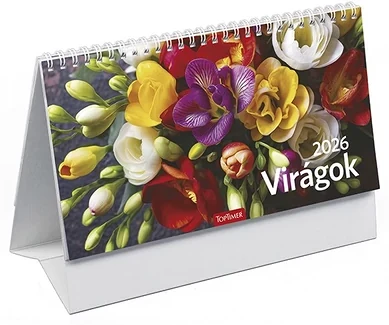 Toptimer 23.02211 nagyítás