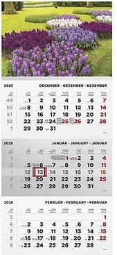 Toptimer 23.082025 nagyítás