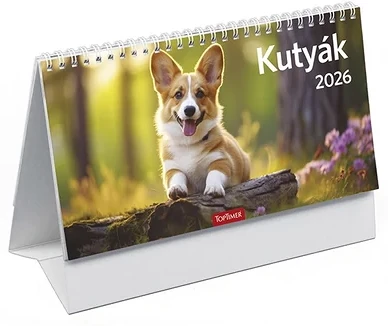 Toptimer 23.09210 nagyítás