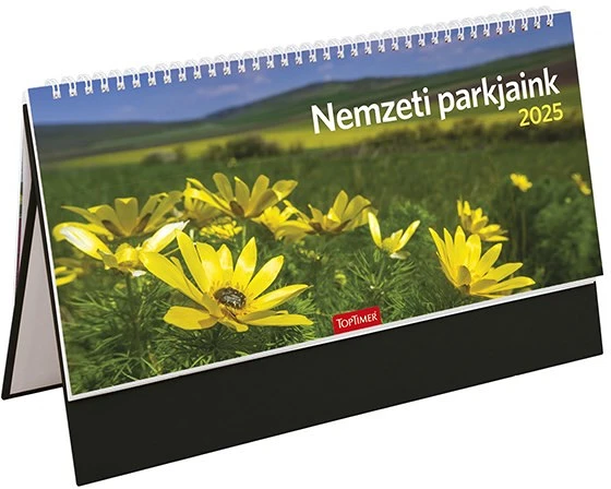 Toptimer 25T542T-003 nagyítás