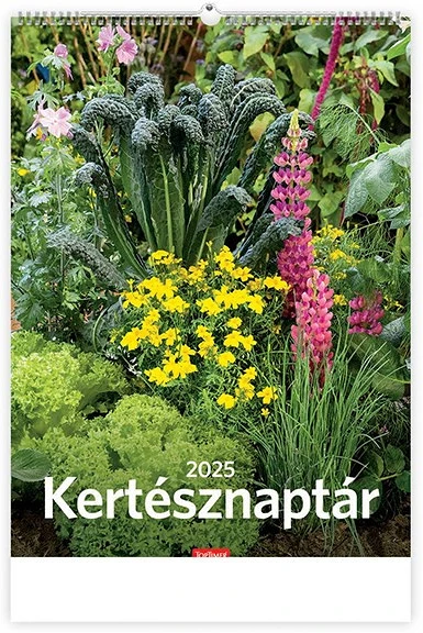 Toptimer 25T9300-17A nagyítás