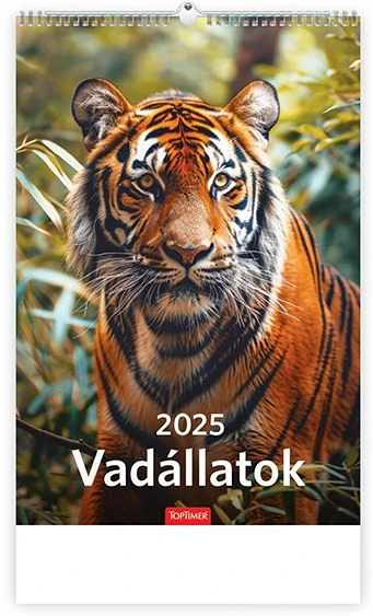 Toptimer 25T9400-08A nagyítás