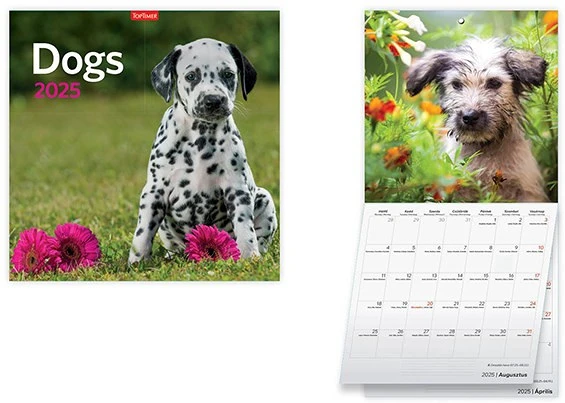 Toptimer 25T9800-06A nagyítás