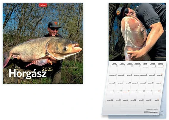 Toptimer 25T9800-08A nagyítás