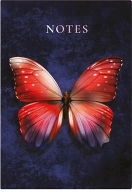 Toptimer 26C167N-002 nagyítás