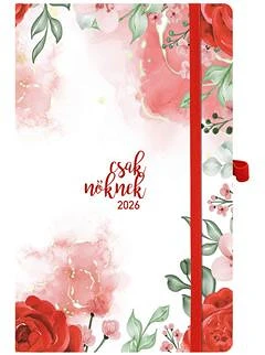 Toptimer 26N018J-003 nagyítás