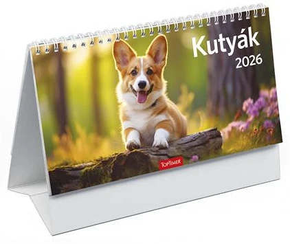 Toptimer 26T581P-00P nagyítás