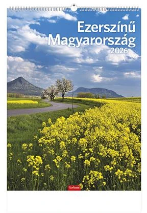 Toptimer 26T9300-07A nagyítás