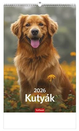 Toptimer 26T9400-10A nagyítás