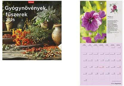 Toptimer 26T9800-16A nagyítás