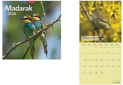 Toptimer 26T9800-18A nagyítás