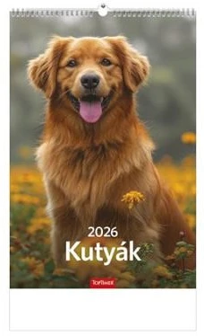 Toptimer COR_NKT09410U nagyítás