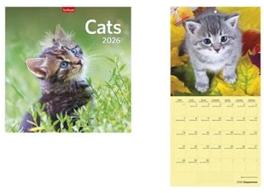 Toptimer COR_NKT09802U nagyítás