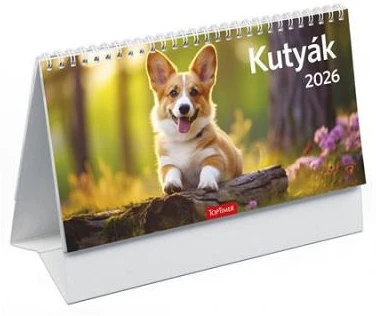 Toptimer COR_NKT581PU nagyítás