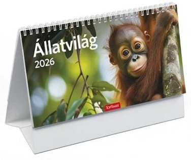 Toptimer COR_NKT582PU nagyítás