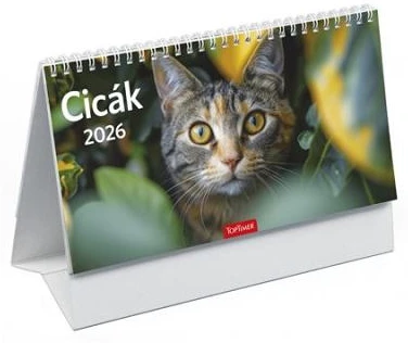 Toptimer COR_NKT585PU nagyítás