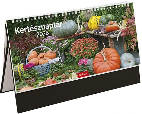 Toptimer T541T-003 nagyítás