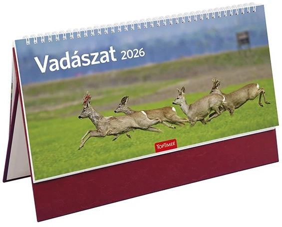 Toptimer T543T-002 nagyítás