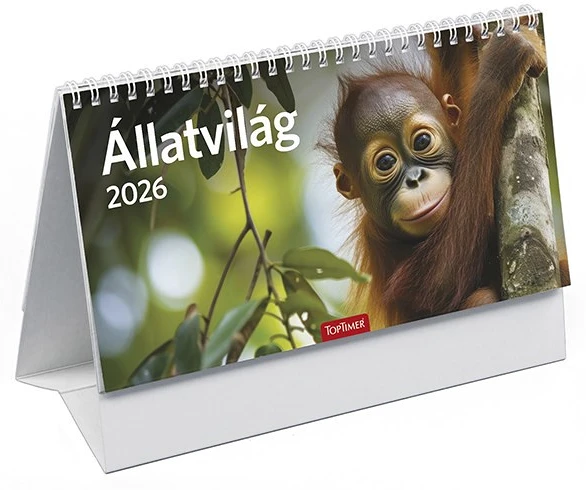 Toptimer T582P-00P nagyítás