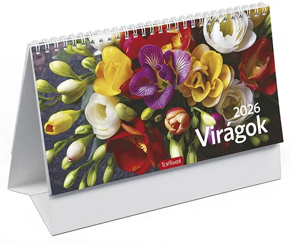 Toptimer T583P-00P nagyítás