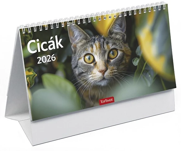 Toptimer T585P-00P nagyítás