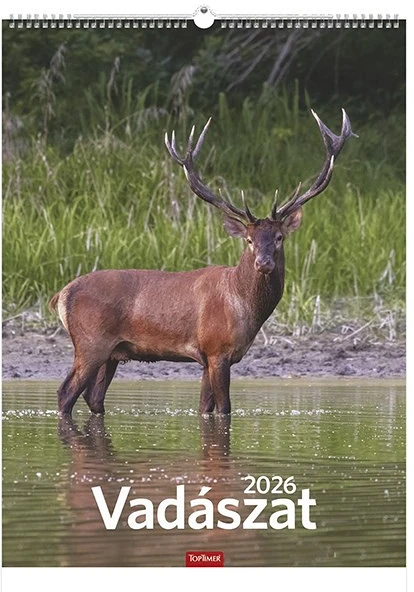 Toptimer T9300-01A nagyítás