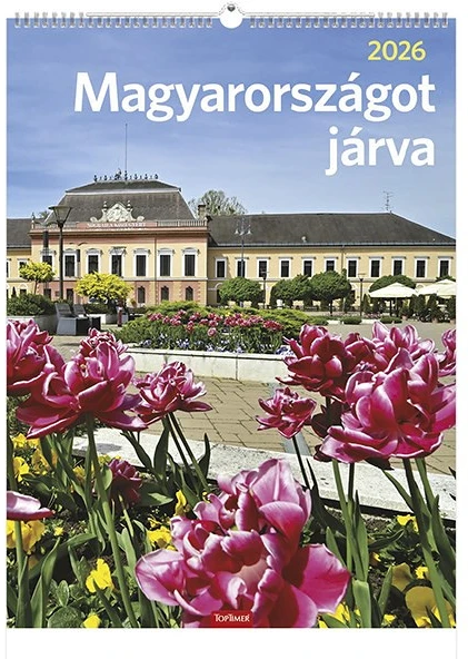 Toptimer T9300-04A nagyítás