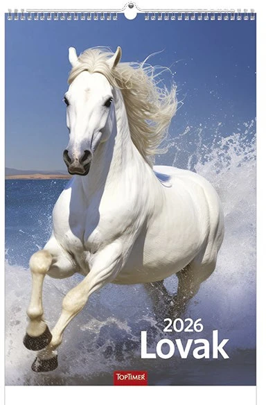 Toptimer T9400-07A nagyítás