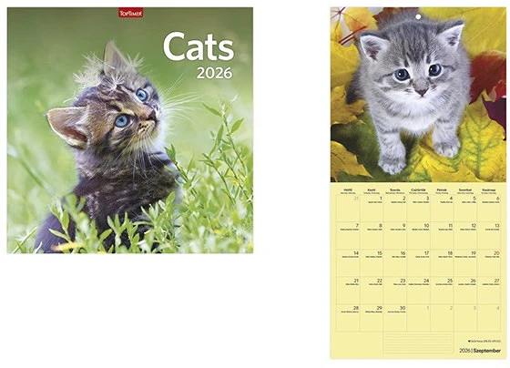 Toptimer T9800-02A nagyítás