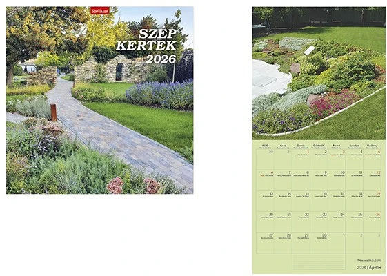 Toptimer T9800-03A nagyítás