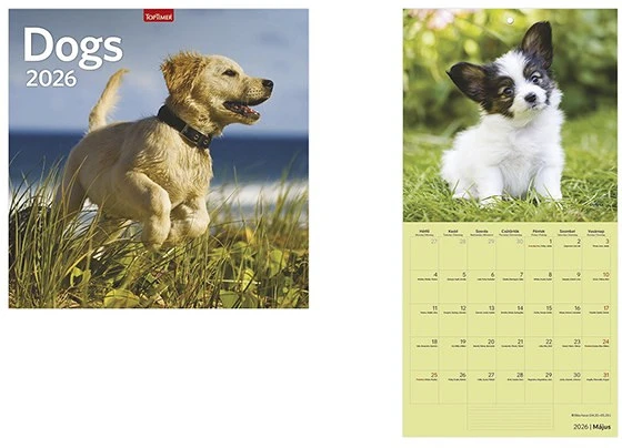 Toptimer T9800-06A nagyítás