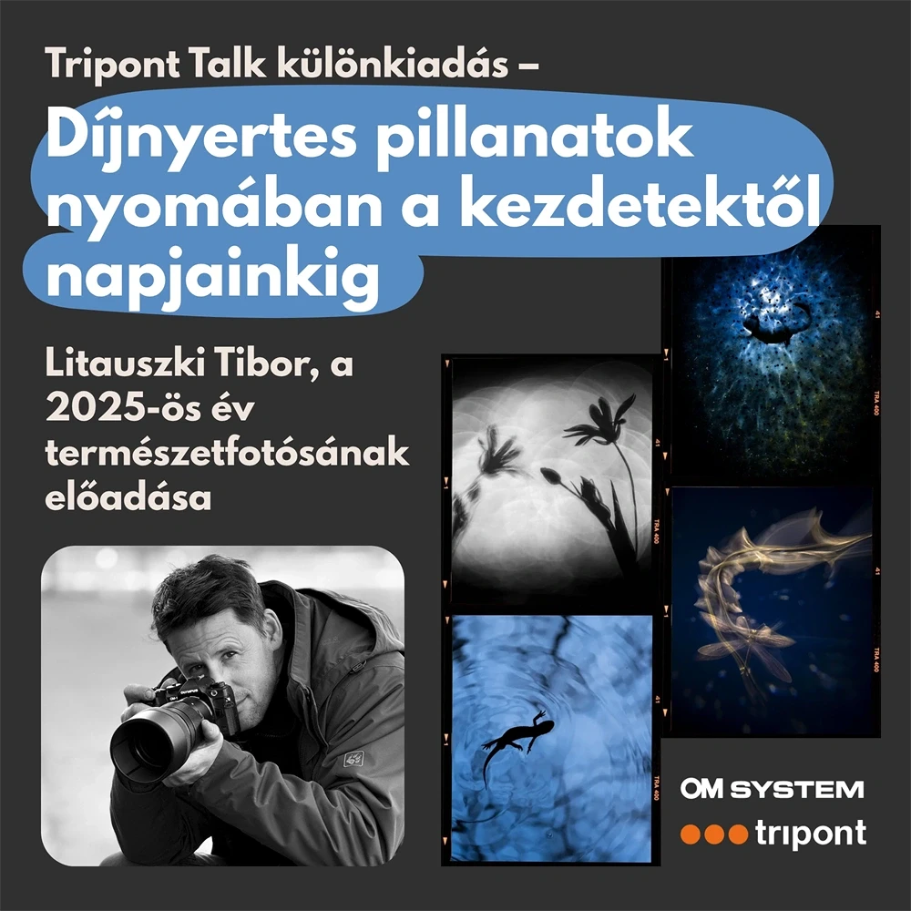 Tripont 2026.05.27 nagyítás