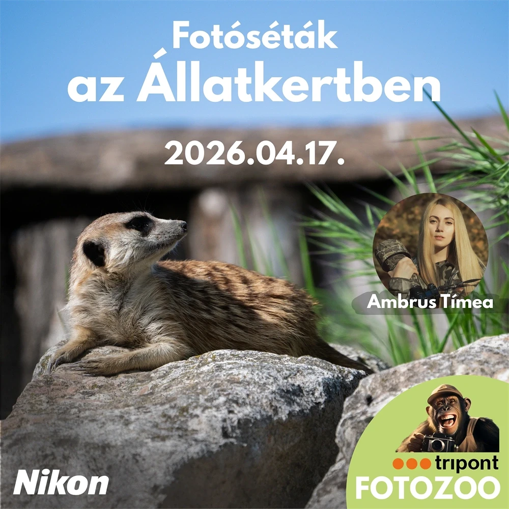 Tripont TRIP-20260417 nagyítás