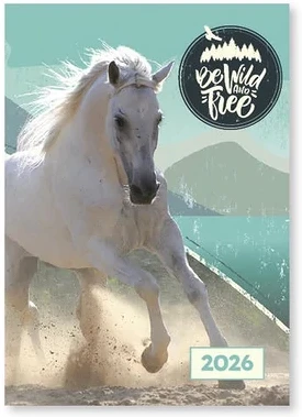 Vectra-line 23.09782 nagyítás