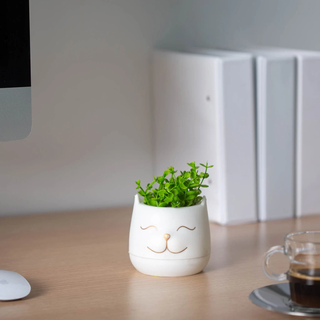 Vog und arths 11849 nagyítás