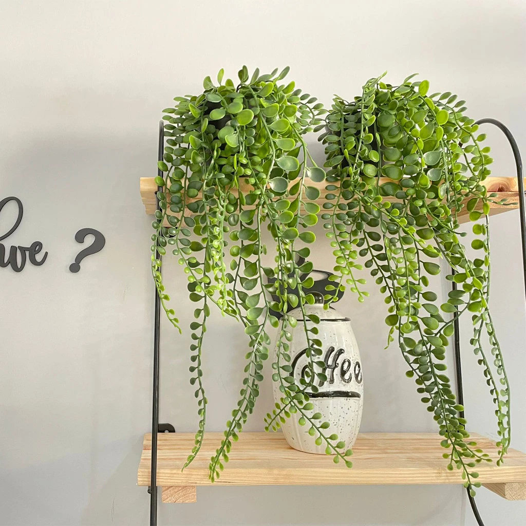 Vog und arths 11882 nagyítás