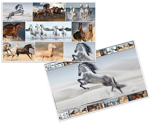 Herma 19380 nagyítás