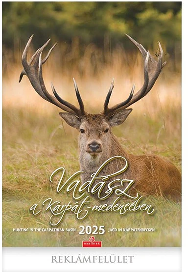 Csg FN 081 nagyítás